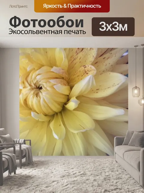Фотообои Донна Георгины