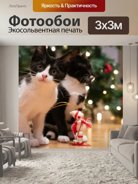 Фотообои Кошки