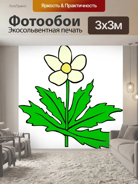 Фотообои Анемон