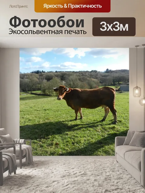 Фотообои Блондинка корова