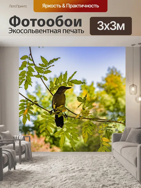 Фотообои Большая коричневая птица в дереве