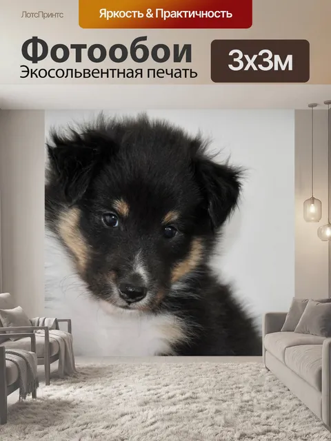 Фотообои Шелти