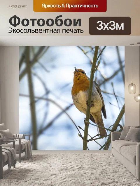 Фотообои Робин