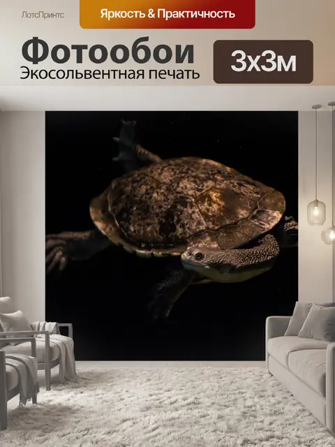 Фотообои Змея шеи черепаха