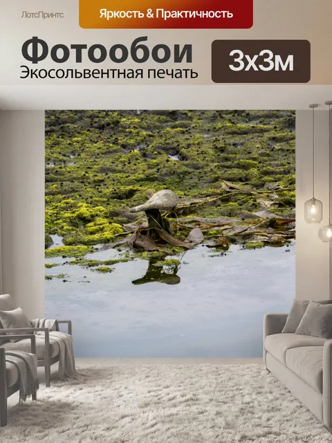 Фотообои Велосипедное сиденье в болотистой местно