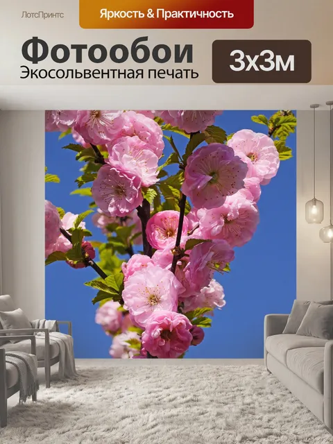 Фотообои Цветок миндаля