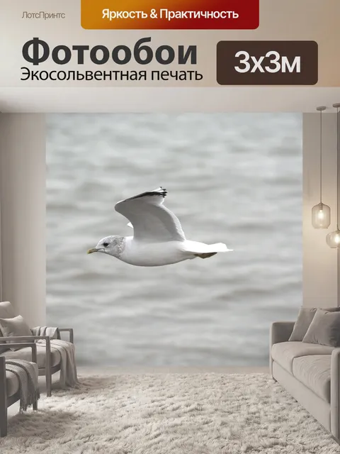 Фотообои Сельдь чайка