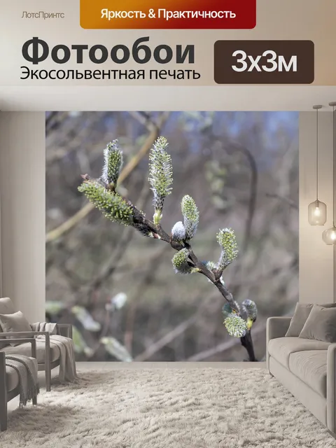 Фотообои Лаять