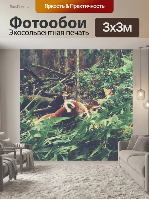 Фотообои Животные