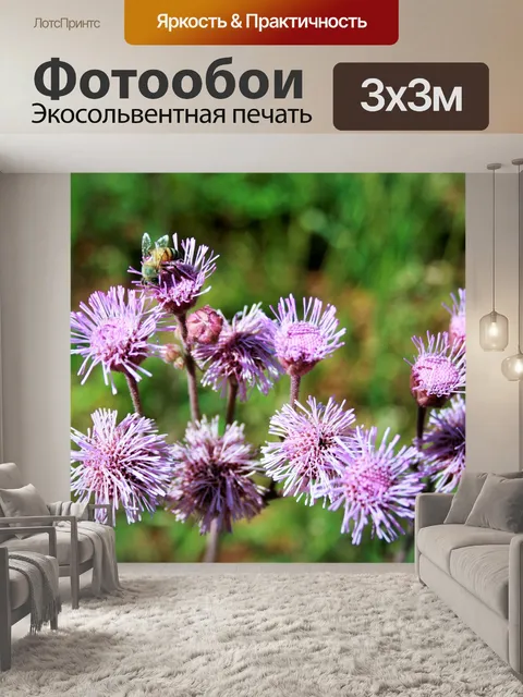 Фотообои Розовый чертополох в степи