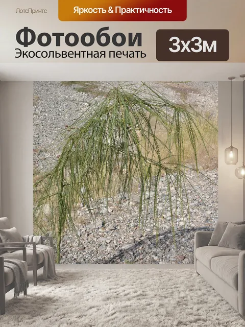 Фотообои Green Tree листьях растений Красочные