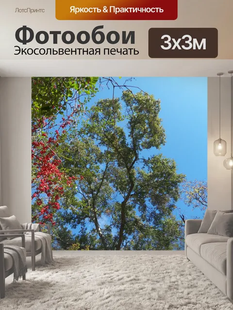Фотообои Небо