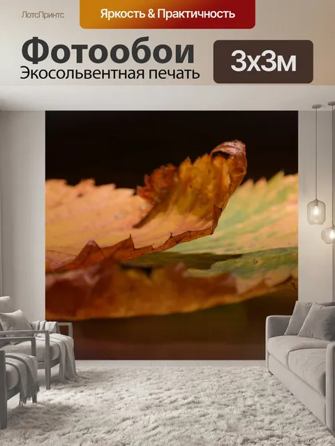 Фотообои Листья вяза