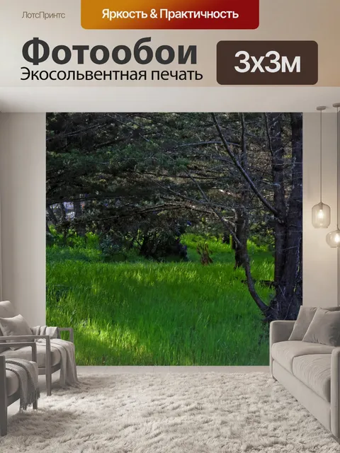 Фотообои Красивый зеленый луг