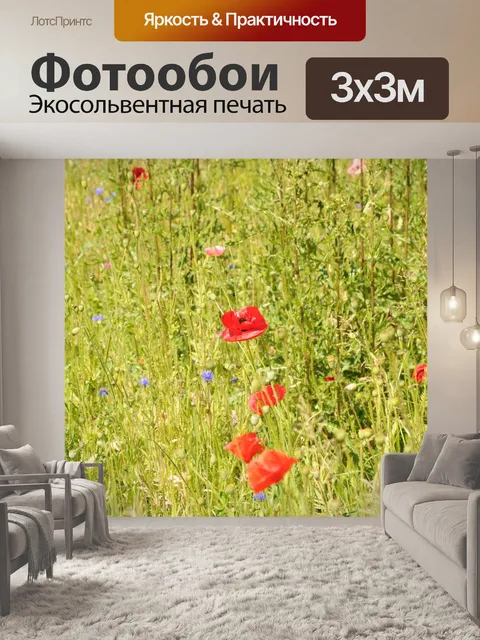 Фотообои Маковое поле