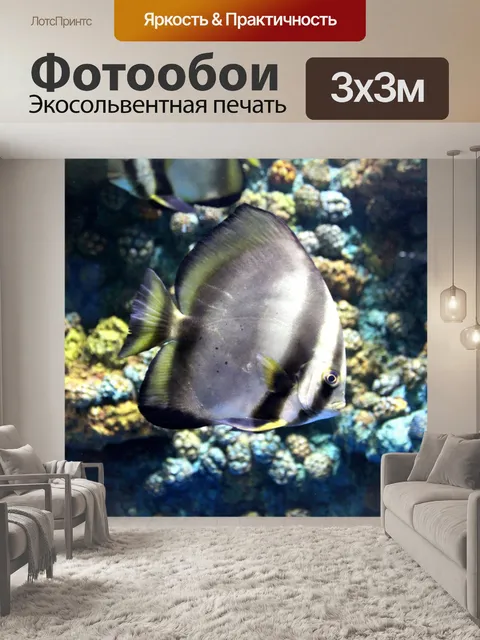 Фотообои Аквариум с рыбками в Срисакете, Таиланд