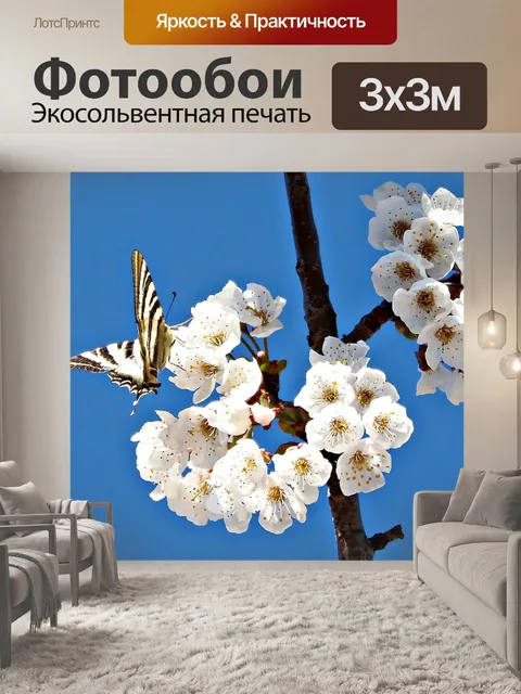 Фотообои Бабочка
