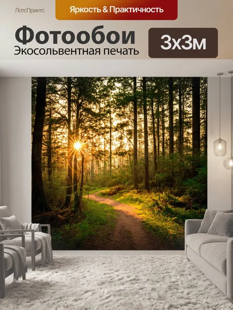 Фотообои вечерняя прогулка по лесу с мягким светом заходящего солнца