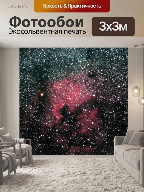 Фотообои Североамериканский туман
