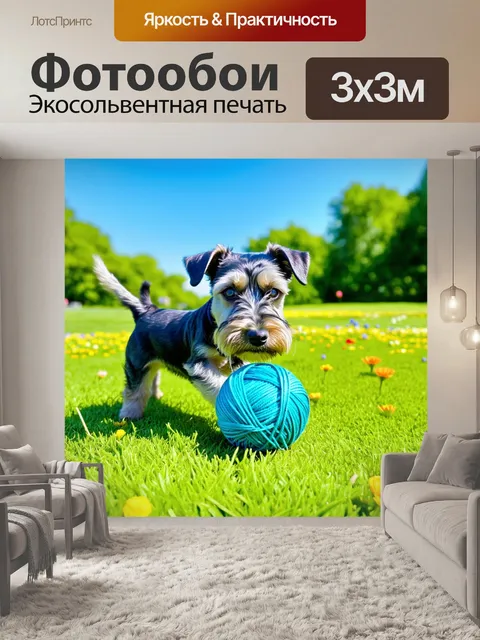 Фотообои цвергшнауцер, играющий с пушистым клубком шерсти на зелёной лужайке в парке