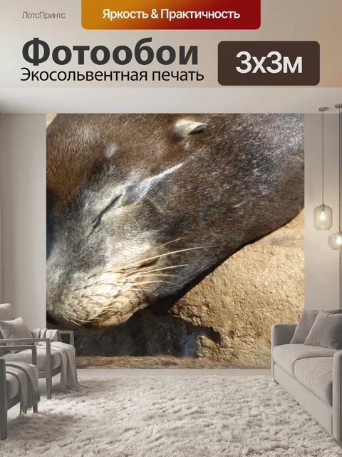 Фотообои запечатать сон на камнях