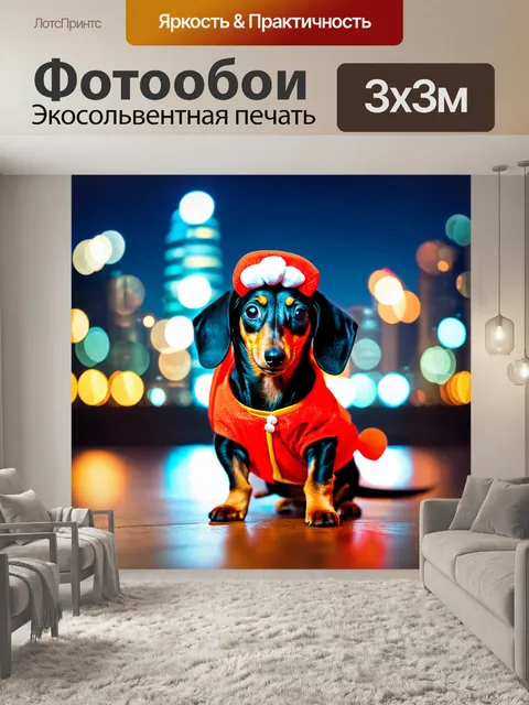 Фотообои такса в ярком костюме, позирующая на фоне городских огней, с эффектом блики на линзах