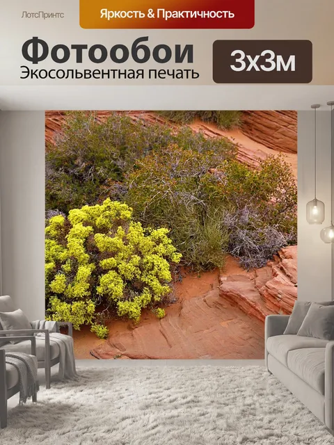 Фотообои Щетка с шалфеем