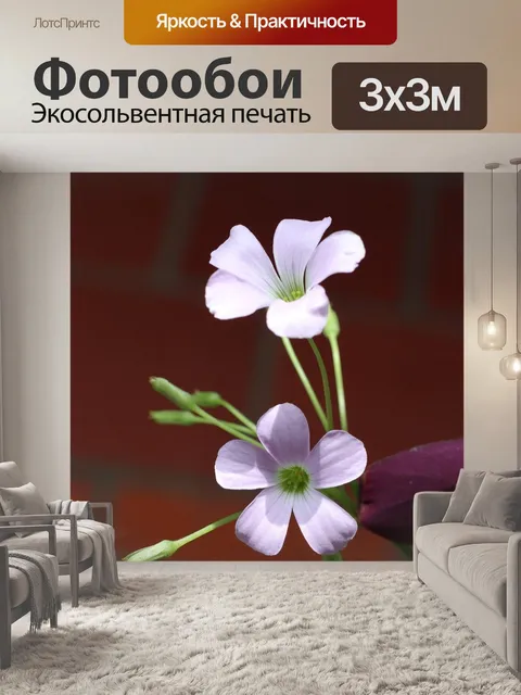 Фотообои Два