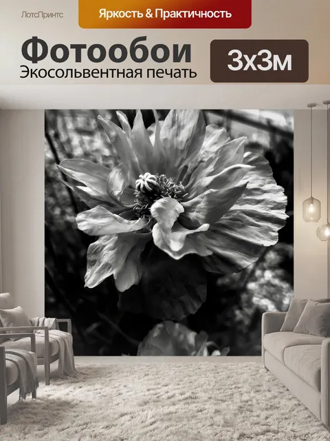 Фотообои Атлас-мак