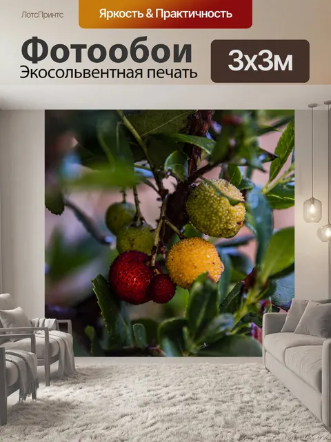 Фотообои После дождя