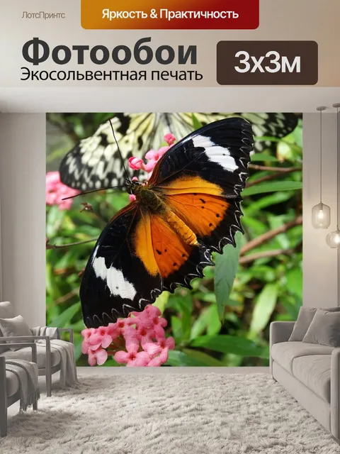 Фотообои Бабочка