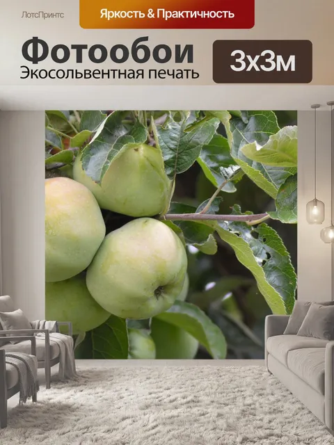 Фотообои Яблоки