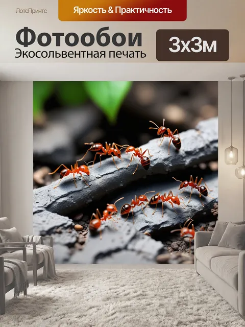 Фотообои забавные муравьи в поисках пищи на трейле