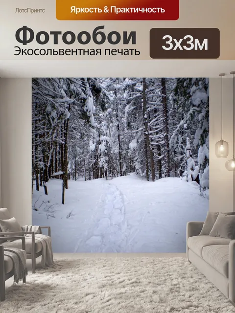 Фотообои Прогулка на снегоступах