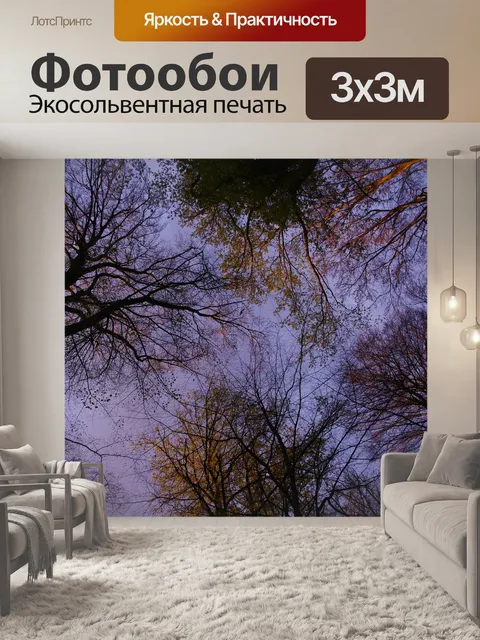 Фотообои Деревья
