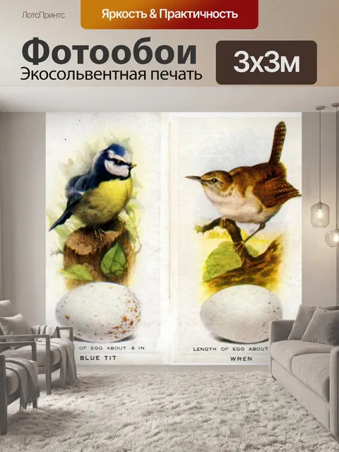 Фотообои Птицы синие синицы и яйца с яйцами
