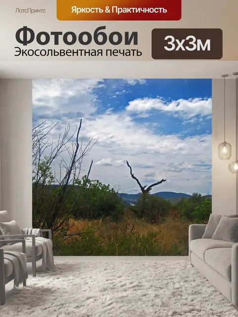 Фотообои вид на сухие остатки мертвого дерева