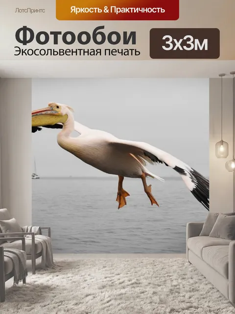 Фотообои Пеликан
