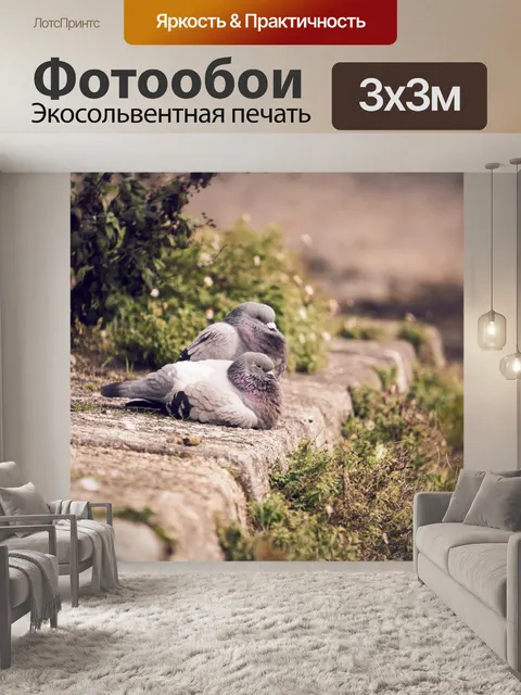 Фотообои Пара голубей