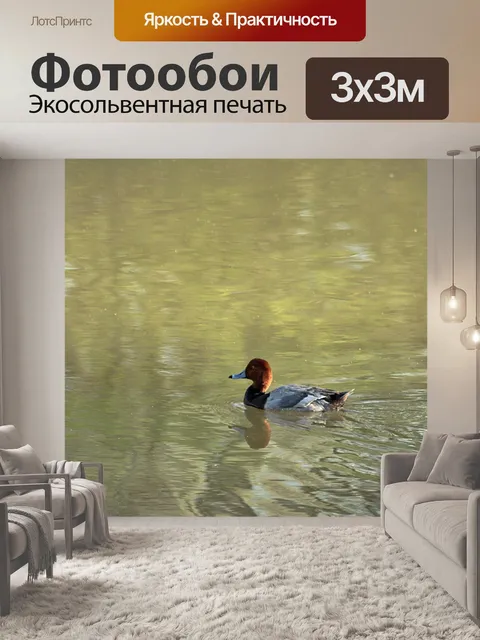 Фотообои Рыжая рыбка в пруду