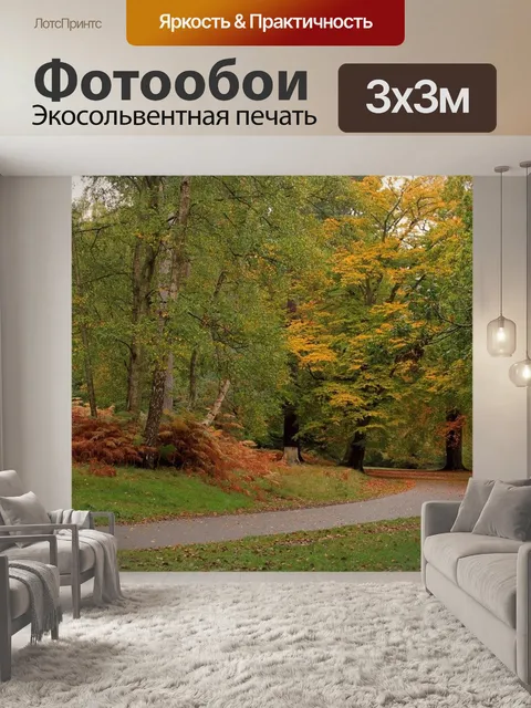 Фотообои Лесная тропа