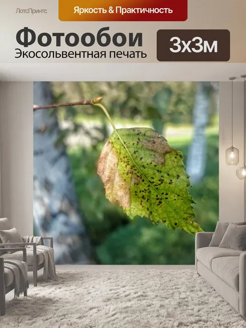 Фотообои Осень
