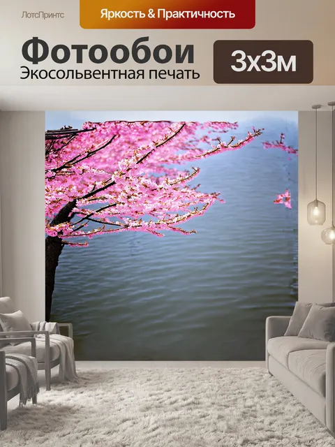 Фотообои изолированное дерево сакуры, покрытое ярко-розовыми цветами, расположено на краю тихого пруда