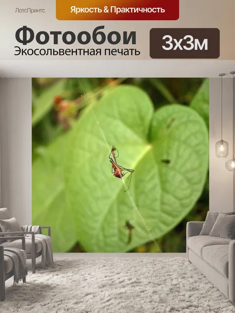 Фотообои искалеченный тигровый журавль летать в п