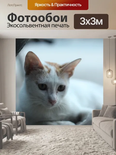 Фотообои Наблюдательный совет