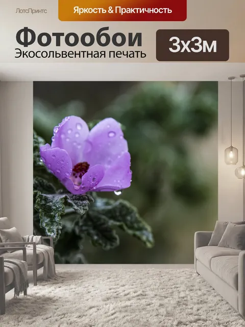 Фотообои Капли дождя на цветке