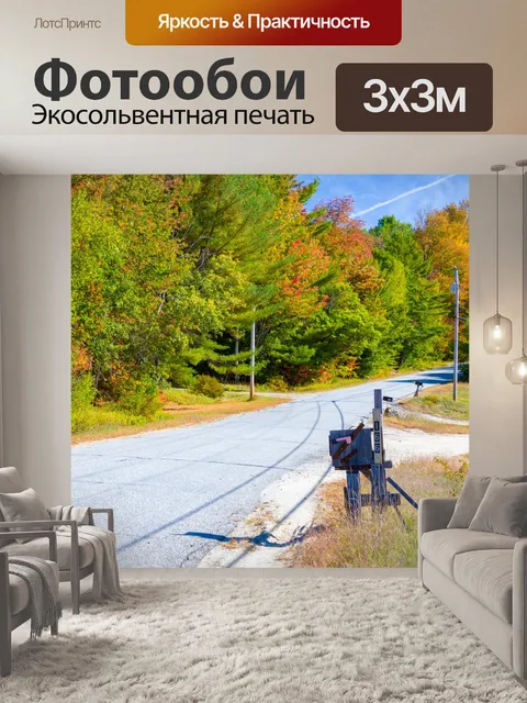 Фотообои Дорожные и осенние деревья