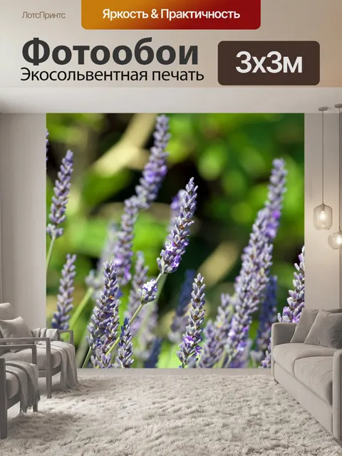 Фотообои Лаванда