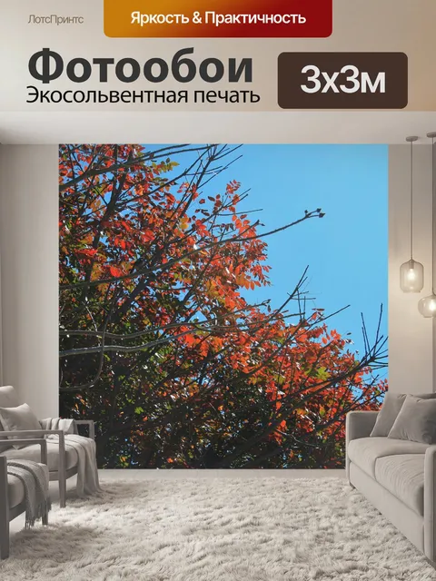 Фотообои пылающий листья