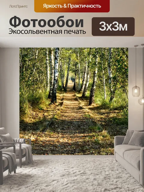 Фотообои Березы